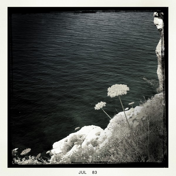 Ibiza by Nathalie Schon